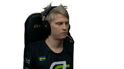 pajkatt