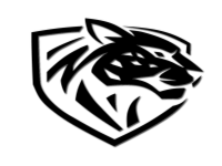 ilbirs_esports