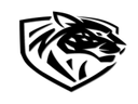 ilbirs_esports